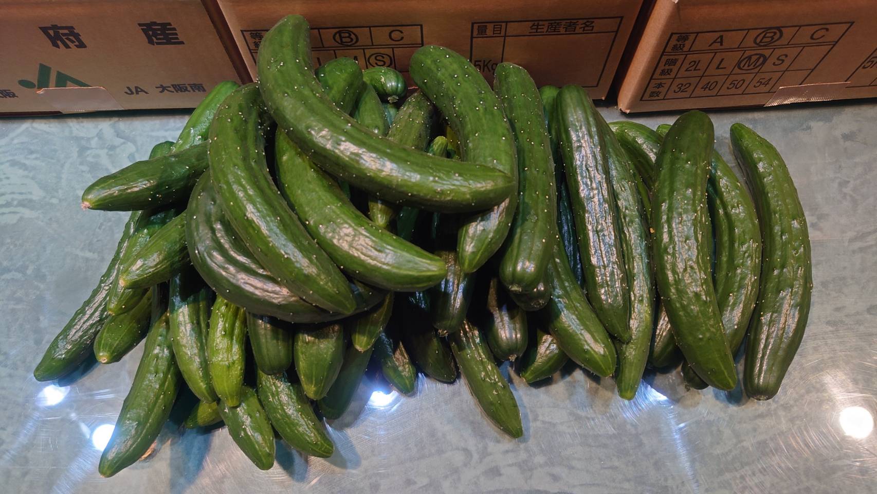 【規格外】きゅうり 6本入